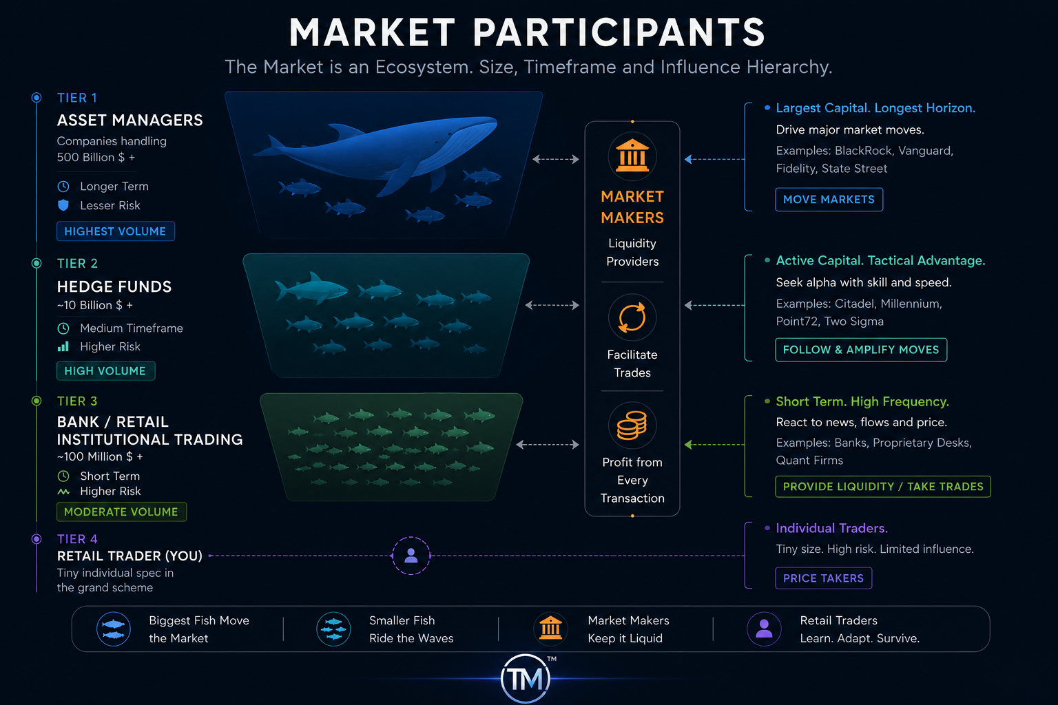 Market Participants Hierarchy — Big Fish to Small Fish